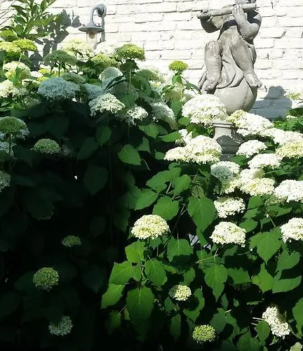 Bed and Breakfast Joke De Groot 3*